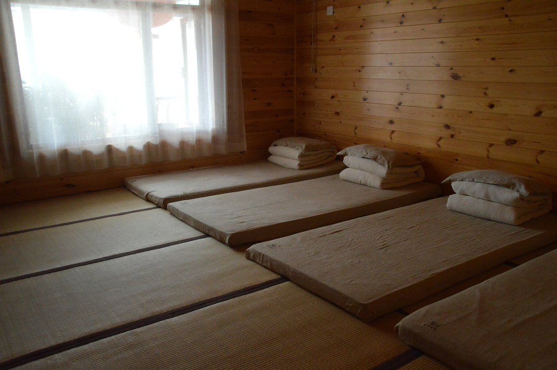 Online Bed Frames: Bamboo bedding